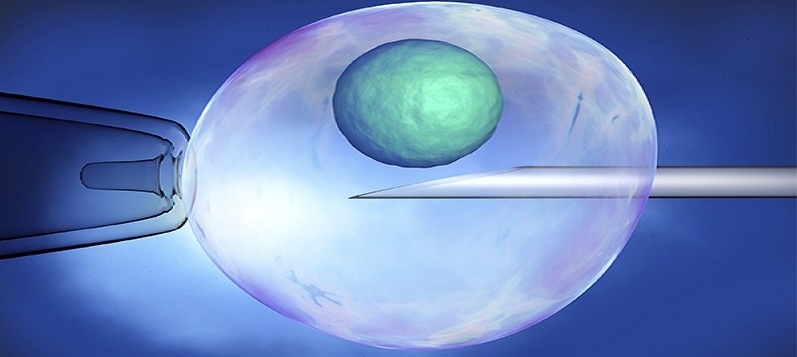 assisted hatching in Bangalore