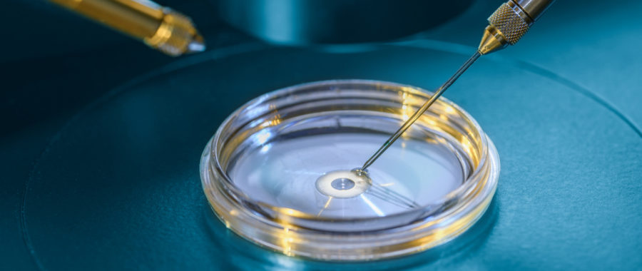 intracytoplasmic-sperm-injection
