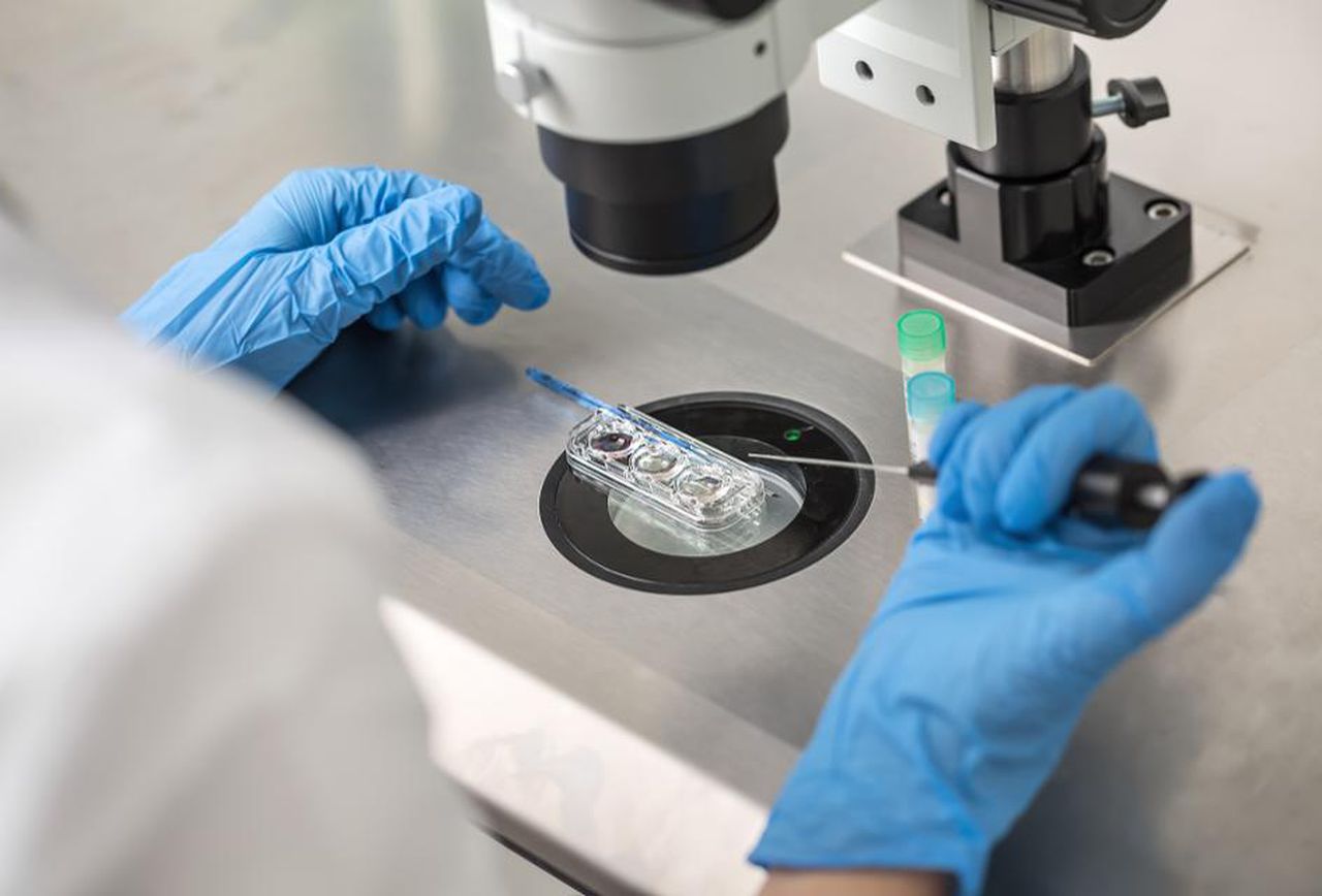 ivf-lab