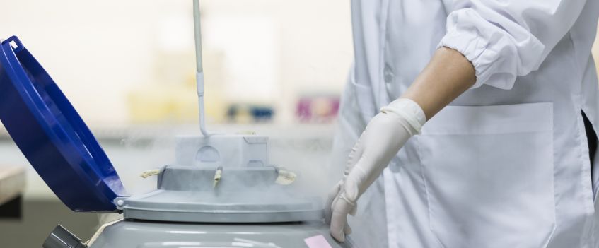 Cryopreservation in Bangalore