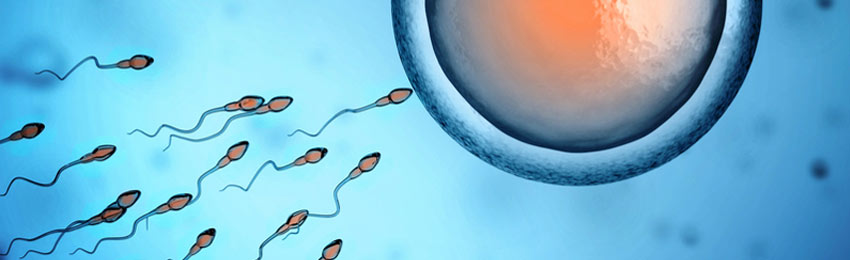 sperm-count-men
