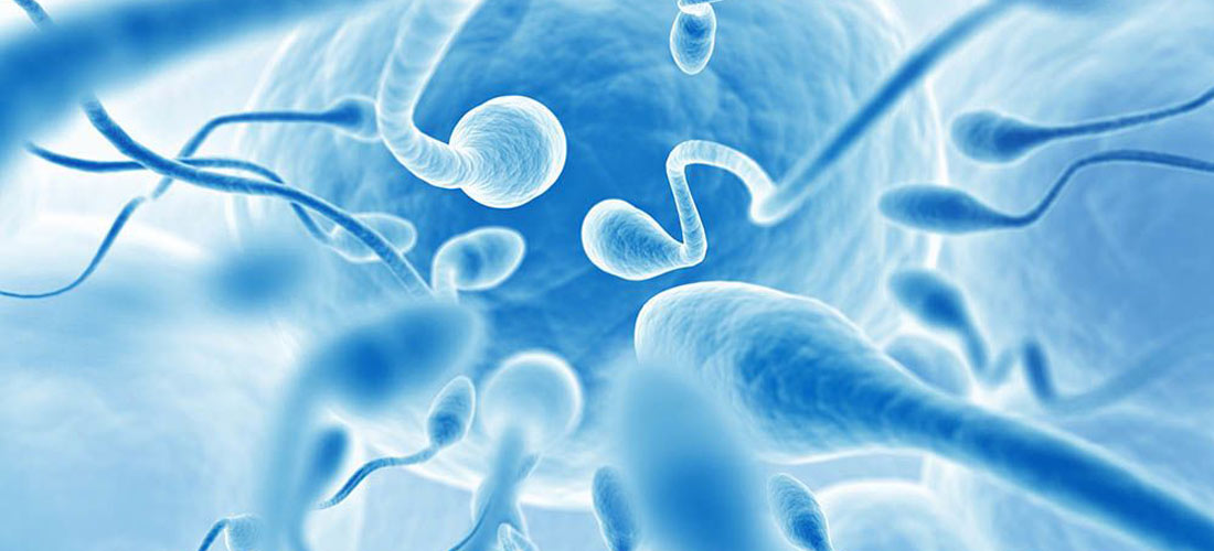 sperm-count