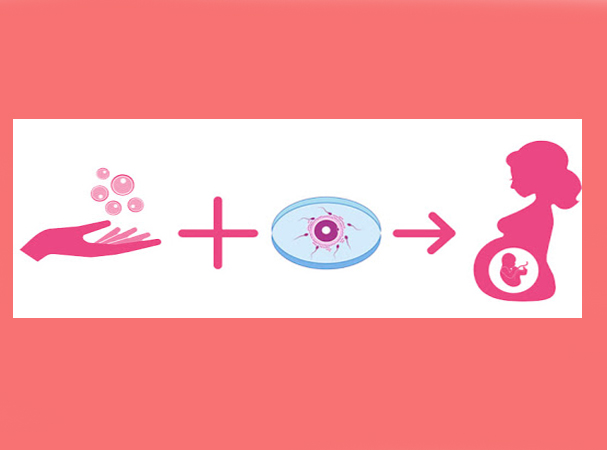 ivf with egg donation