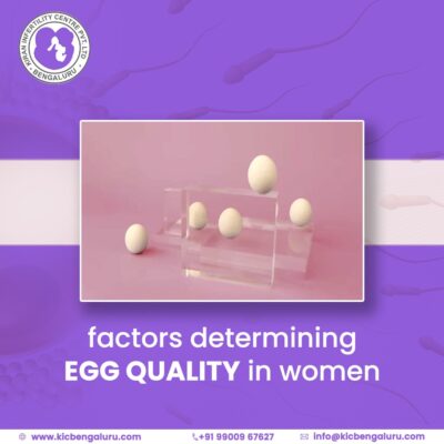 Factors determining egg quality in women
