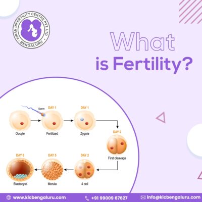 What is fertility?