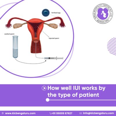 How well IUI works by the type of patient