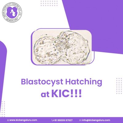 Blastocyst hatching at KIC!!!