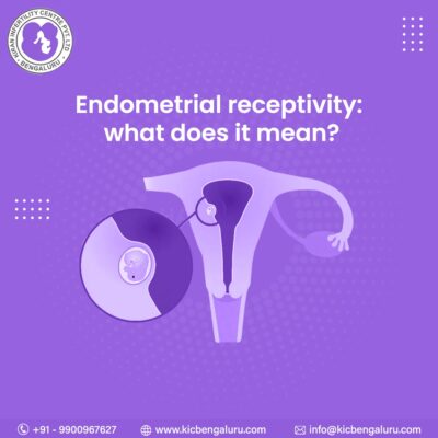 Endometrial Receptivity What does it mean