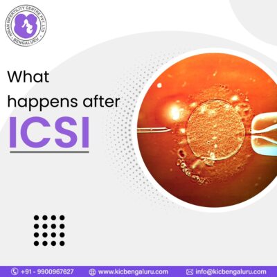 What happens after ICSI