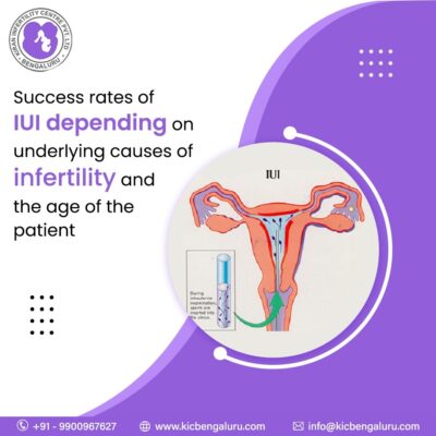 Success rates of IUI depending on underlying causes of infertility and the age of the patient